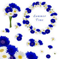 Set of decorative elements with flowers chamomile and cornflowers N2