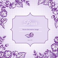 Label template with briar
