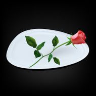 Empty white triangle plate with red rose