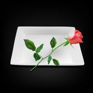 Empty white square plate with red rose