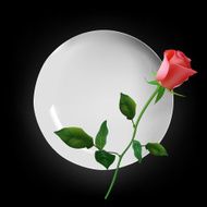 Empty white round plate with red rose