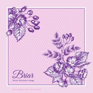 Two corner ornaments on border with briar