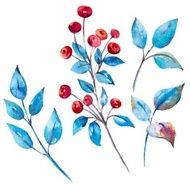 Watercolor vector berries N2