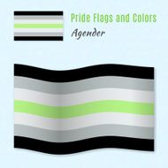 Agender pride flag with correct color scheme N2