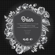 Label template with briar Chalk on blackboard