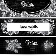 Three horizontal banners with briar Chalk on blackboard