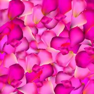 Rose Petals Background Vector Illustration