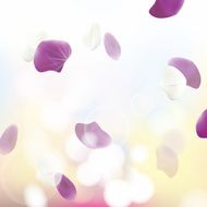SPA Background