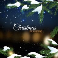 Christmas tree branches N4