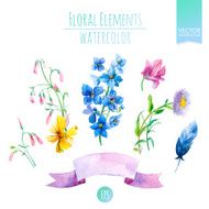 Floral Set with Watercolor Flowers for Summer or Spring Cards