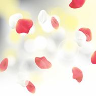 SPA Background N3