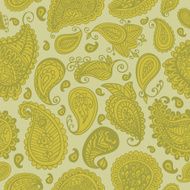 Paisley seamless pattern N73