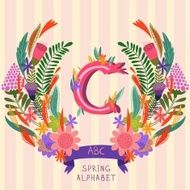 The letter C N3