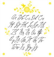Calligraphic font N2