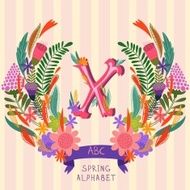 The letter X N2