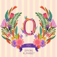 The letter Q N2