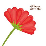 Flowers design N31