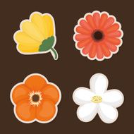 Flowers design N32
