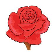Rose Hand Drawn Vector Illustration