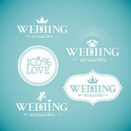 Classic wedding vintage badge N15