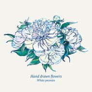 White peonies