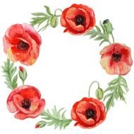Vector frame with red watercolor poppy flowers