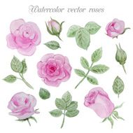 Watercolor roses elements set leaves and flowers