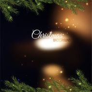 Christmas tree branches 02 A N2
