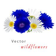 Template card with cornflower and camomile