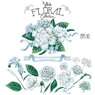 Collection of white vector floral design elements