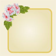 Golden frame with whites hibiscus vector