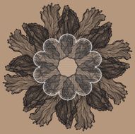 Floral frame with tulips lace Vector illustration