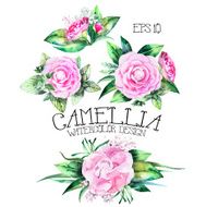 Watercolor collection of camellia vignettes