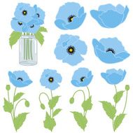Blue poppies