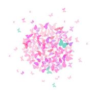 summer round banner card design Colorful pink butterfly white background