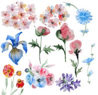 Set of handpainted watercolor flowers N3