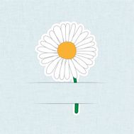 Flower Card Daisy