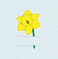 Flower Card Daffodil