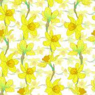 Narcissus pattern N2