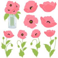Pink poppies
