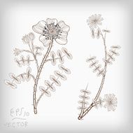 Floral Elements background for design EPS10 Vector