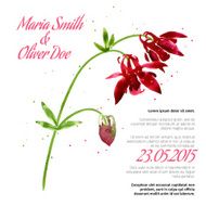 Vector background with aquilegia N4