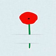 Flower Card Poppy