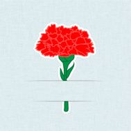 Flower Card Carnation