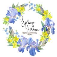 Iris Blossom Border