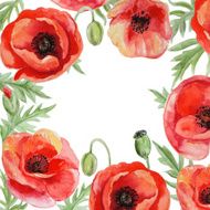 Vector frame with red watercolor poppy flowers N3
