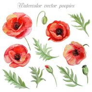 Vector set of red watercolor poppy flowers