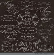 Calligraphic Design Elements N290