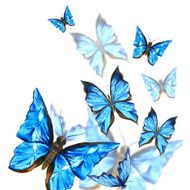 Watercolor butterflies on a white background greeting card