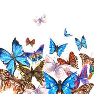 Watercolor butterflies on a white background greeting card N2